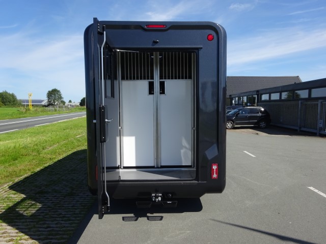 Renault Master Grey